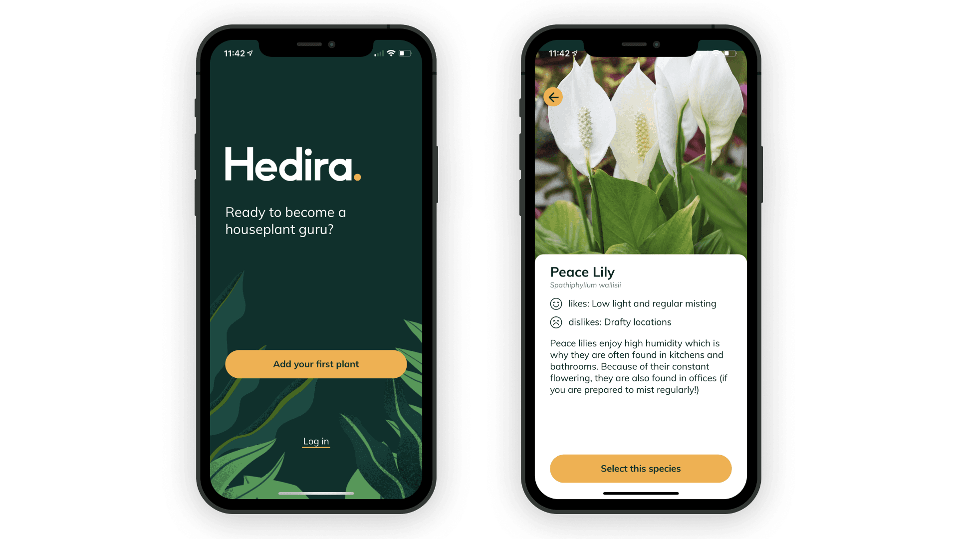 hedira_15d1ac9147.png
