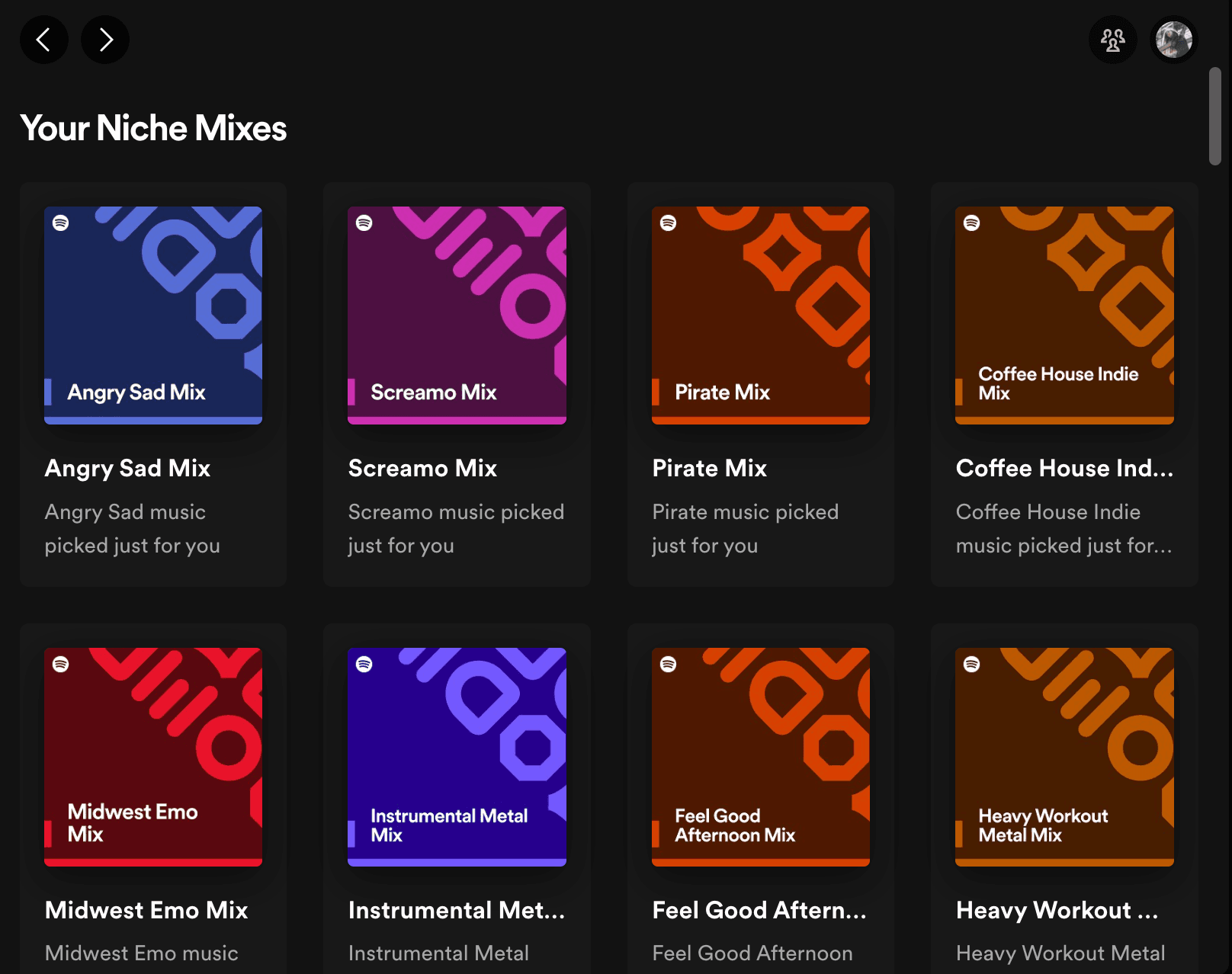 niche_mix_spotify_27a9f7d43a.png